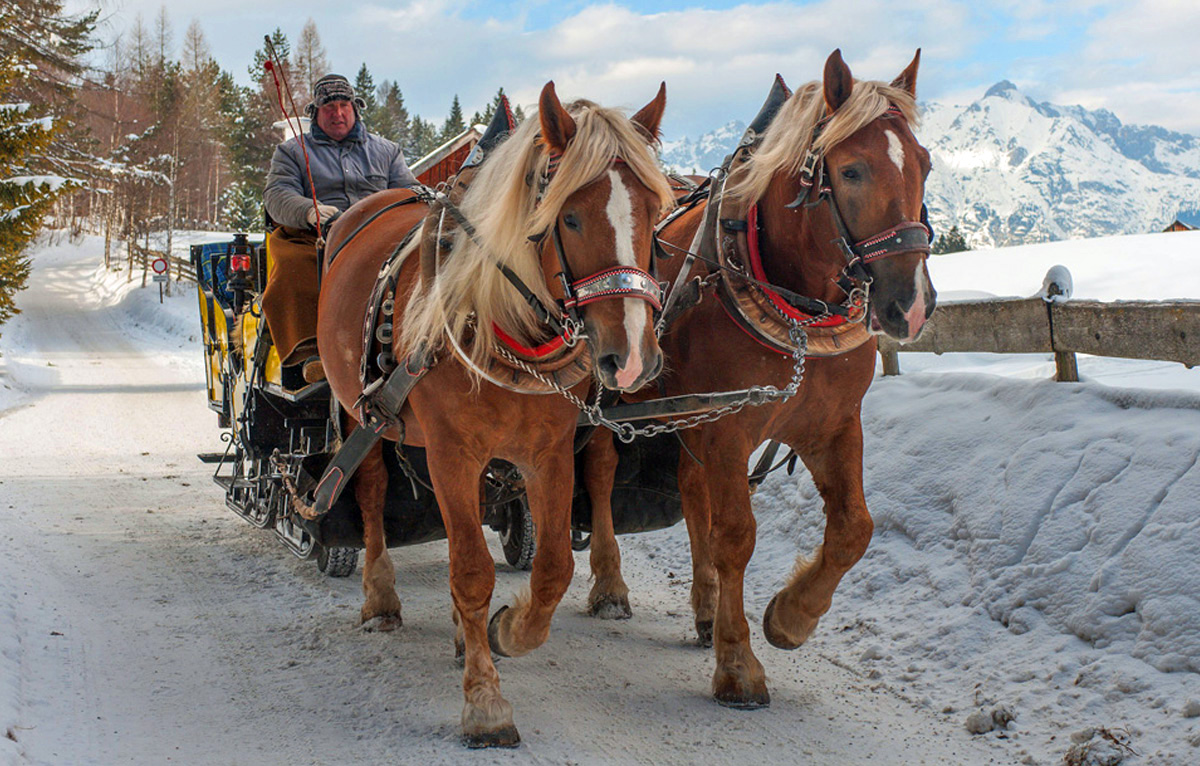 romantisch Pferdeschlitten Winter Kutschenfahrt