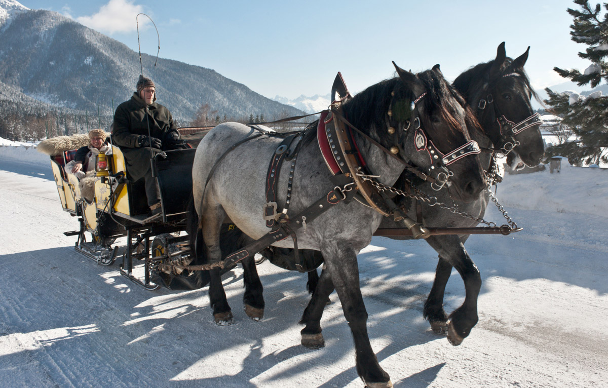 Pferdekutschenfahren Winterlandschaft Fiakerei Neuner Seefeld